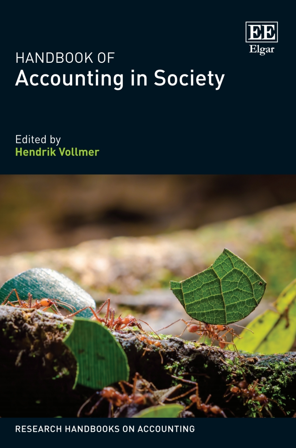 Handbook of Accounting in Society 1st Edition