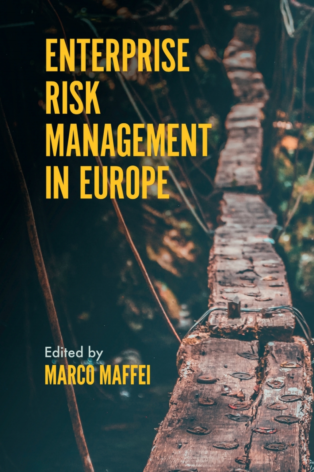 Enterprise Risk Management in Europe 