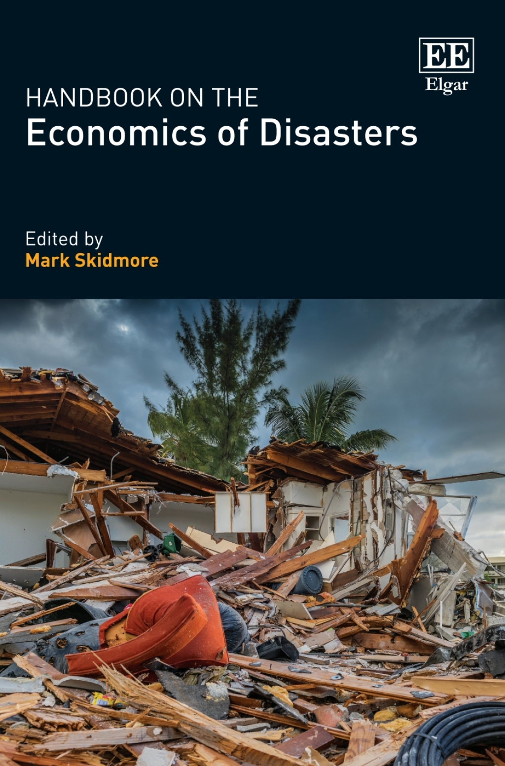 Handbook on the Economics of Disasters 1st Edition