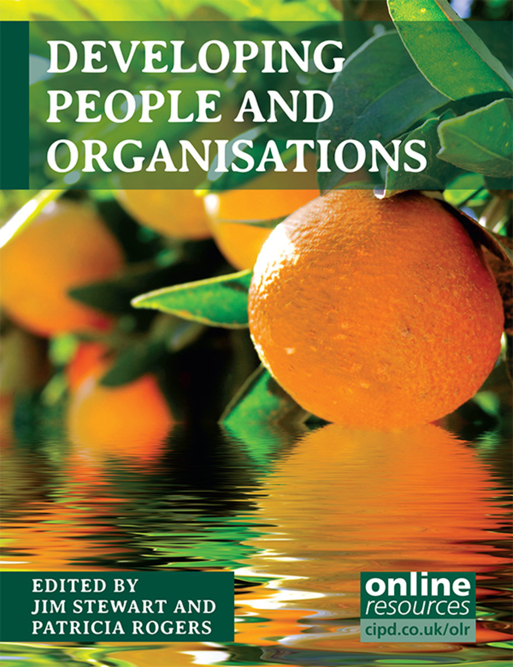 Developing People and Organisations 1st Edition