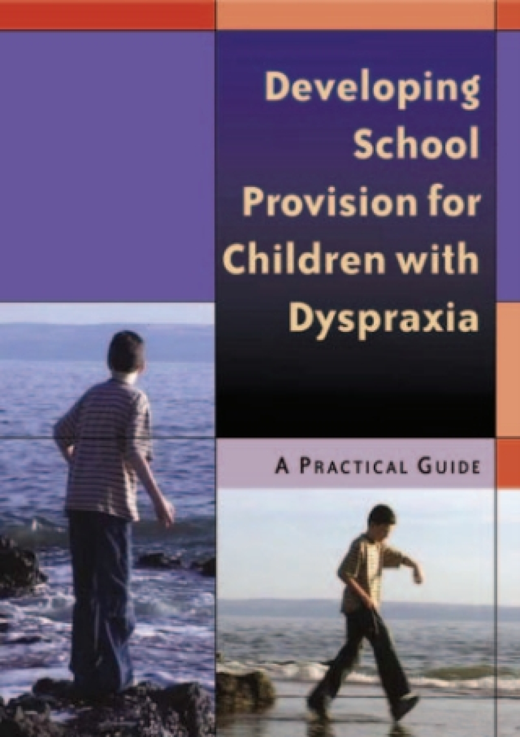 Developing School Provision for Children with Dyspraxia A Practical Guide 1st Edition