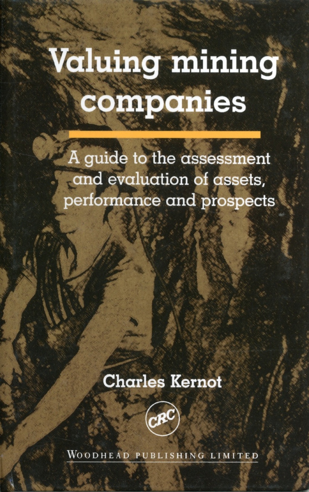 Valuing Mining Companies: A Guide To the Assessment and Evaluation of Assets, Performance and Prospects 