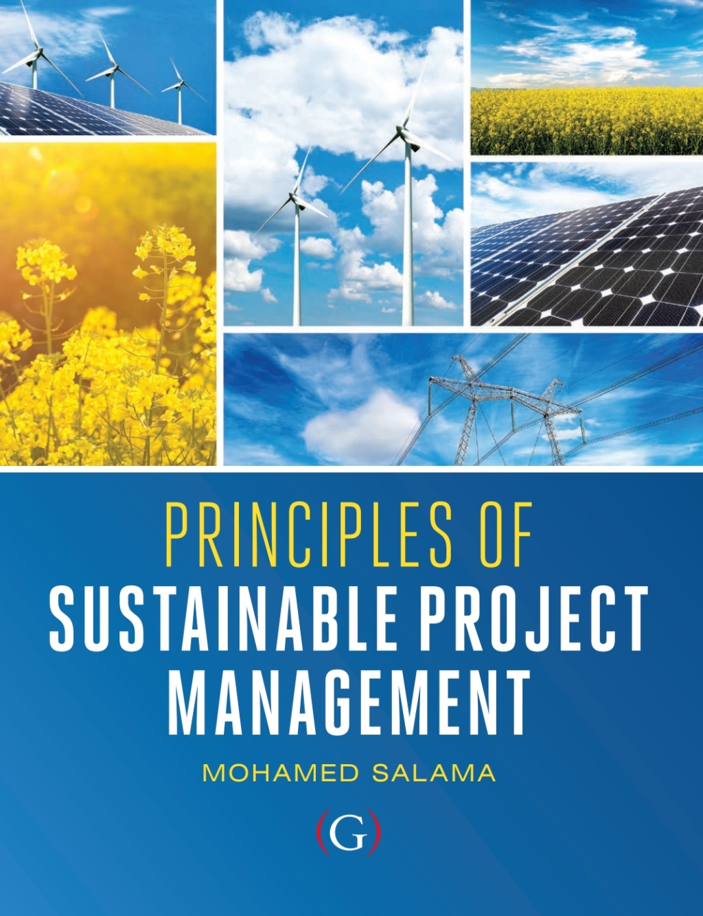 Principles of Sustainable Project Management 