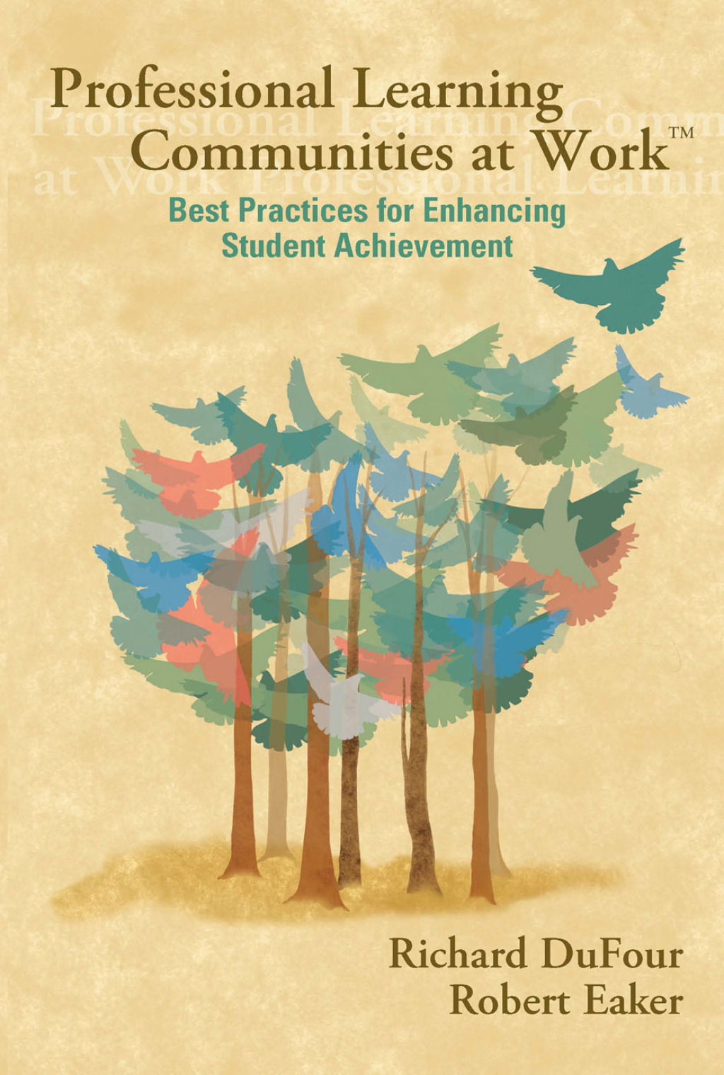 Professional Learning Communities at Work TM Best Practices for Enhancing Students Achievement 2nd Edition