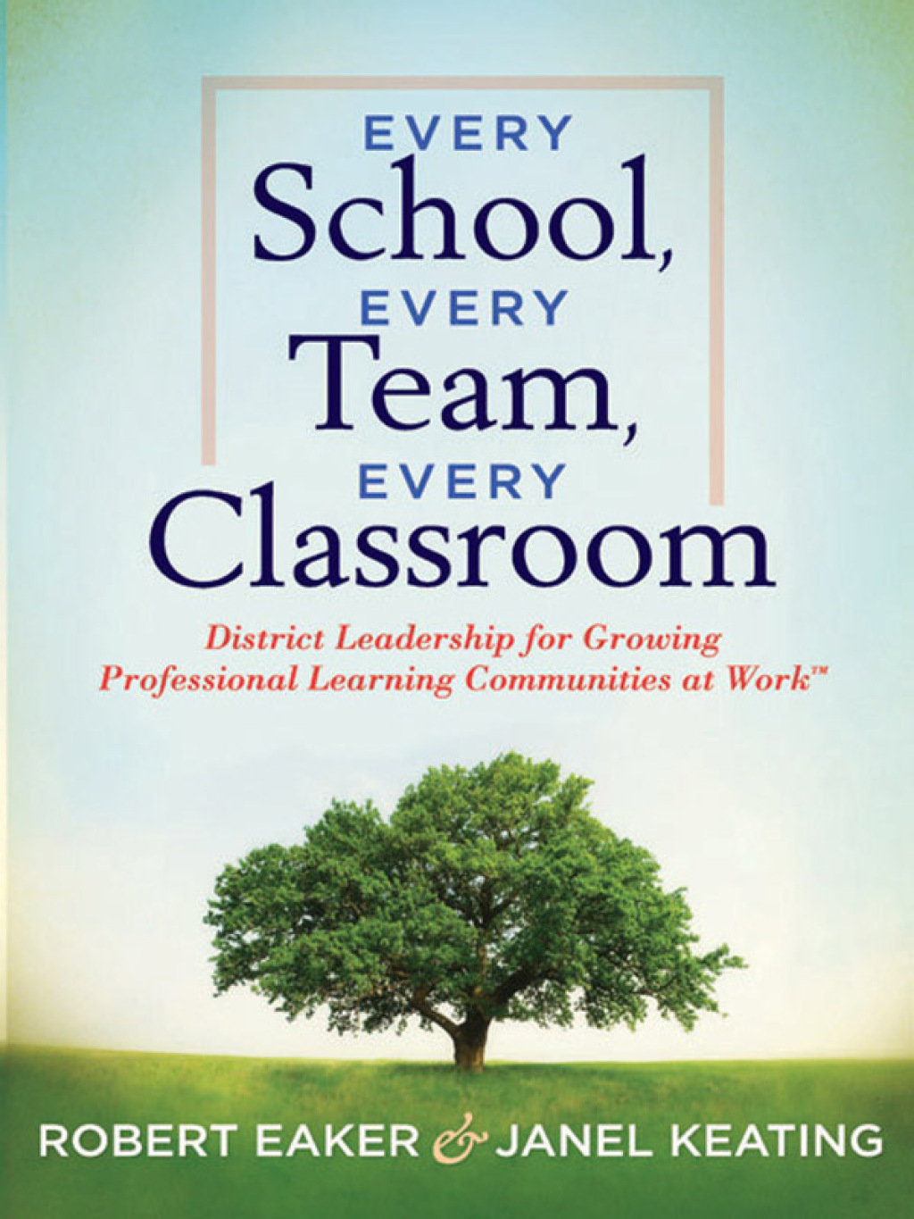 Every School, Every Team, Every Classroom District Leadership for Growing Professional Learning Communities at Work TM 1st Edition