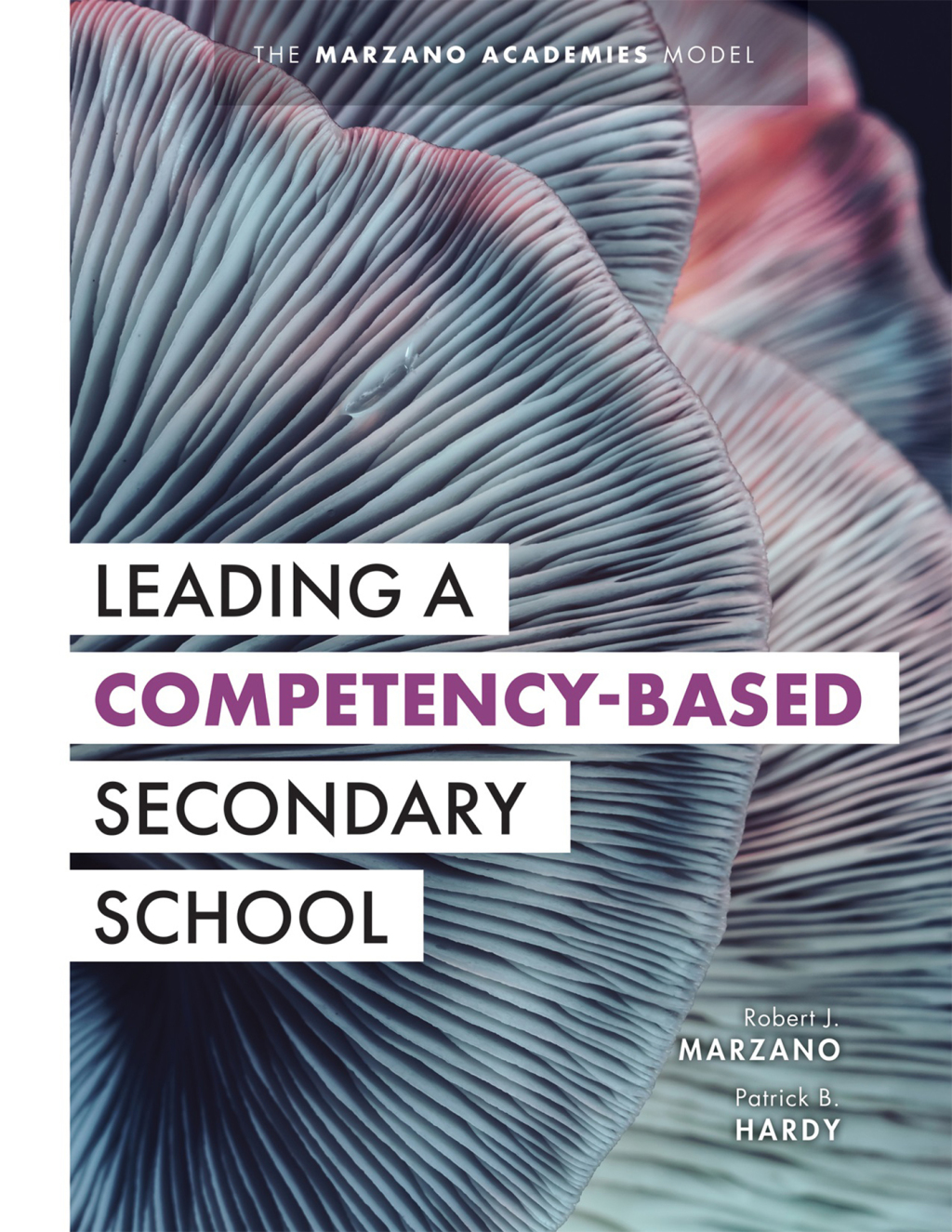Leading a Competency-Based Secondary School The Marzano Academies Model (Become a transformational leader with field-tested competency-based education strategies) 1st Edition