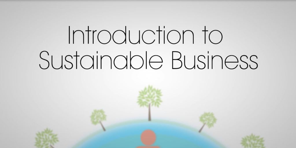 Introduction to Sustainable Business: How Implementing Sustainability can Increase Business Value 1st Edition