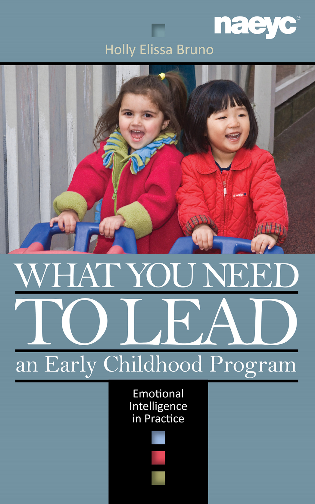 What You Need to Lead an Early Childhood Program Emotional Intelligence in Practice 