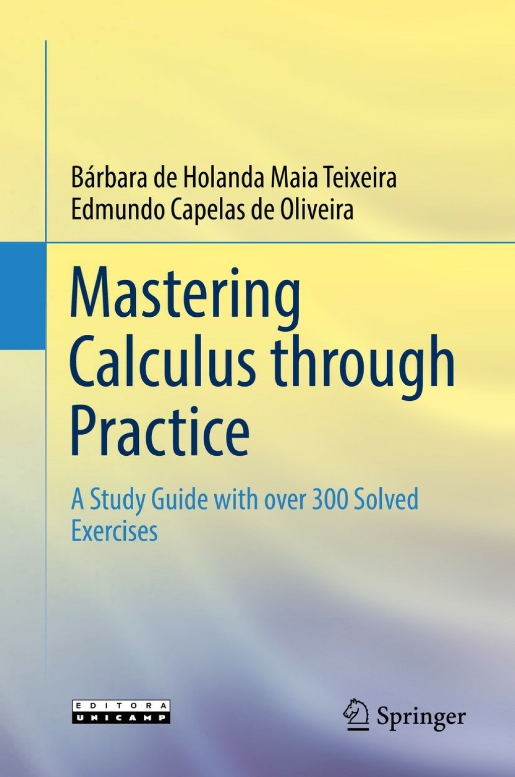 Mastering Calculus through Practice A Study Guide with over 300 Solved Exercises 