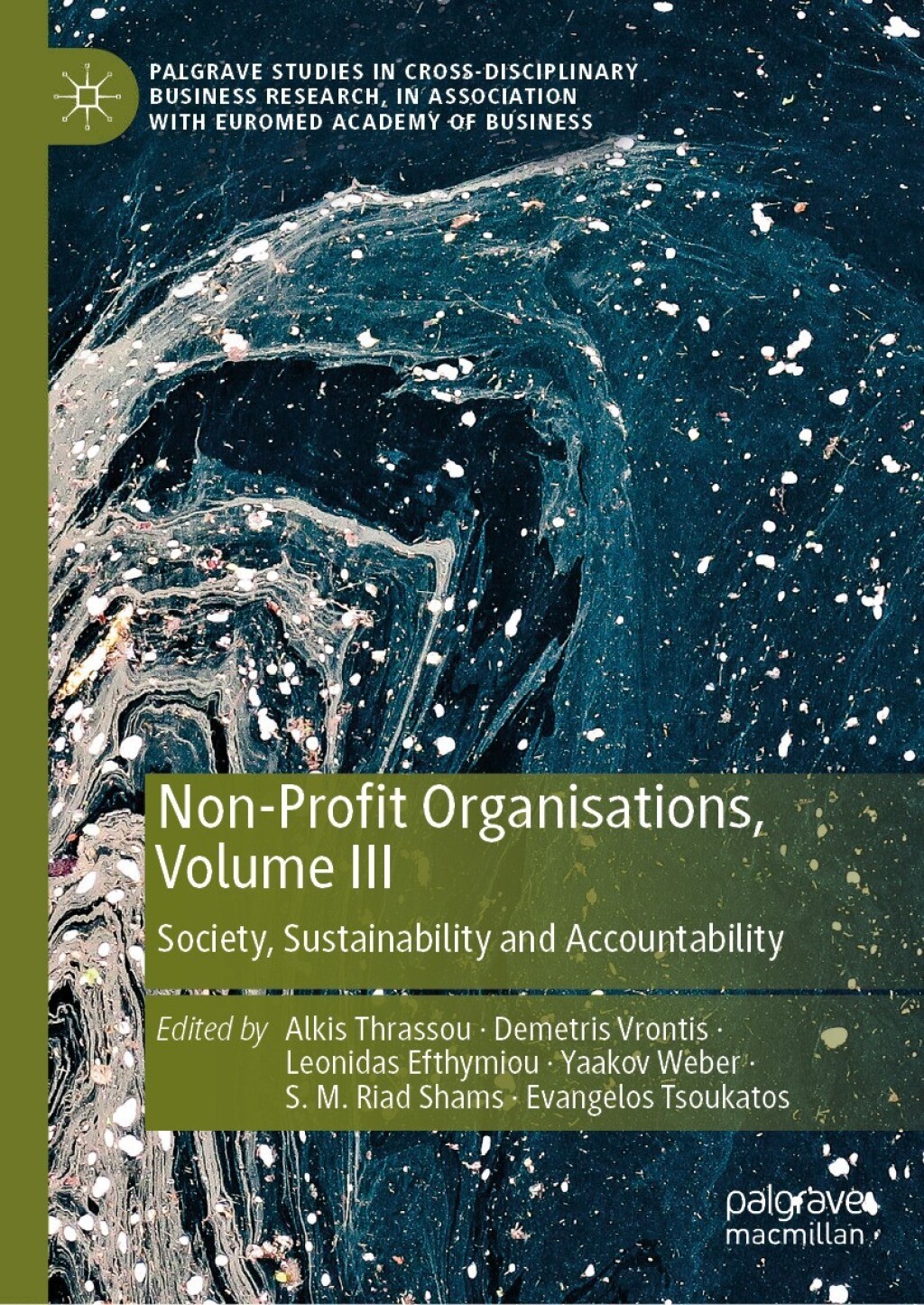 Non-Profit Organisations, Volume III Society, Sustainability and Accountability 