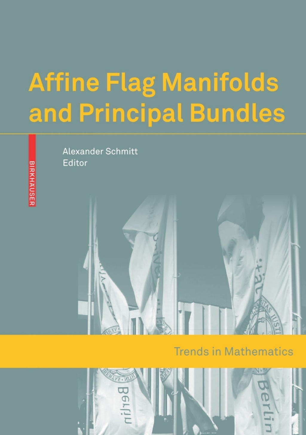 Affine Flag Manifolds and Principal Bundles 1st Edition