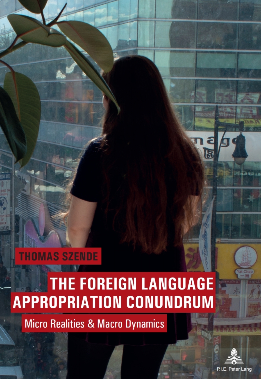 The Foreign Language Appropriation Conundrum Micro Realities and Macro Dynamics 1st Edition