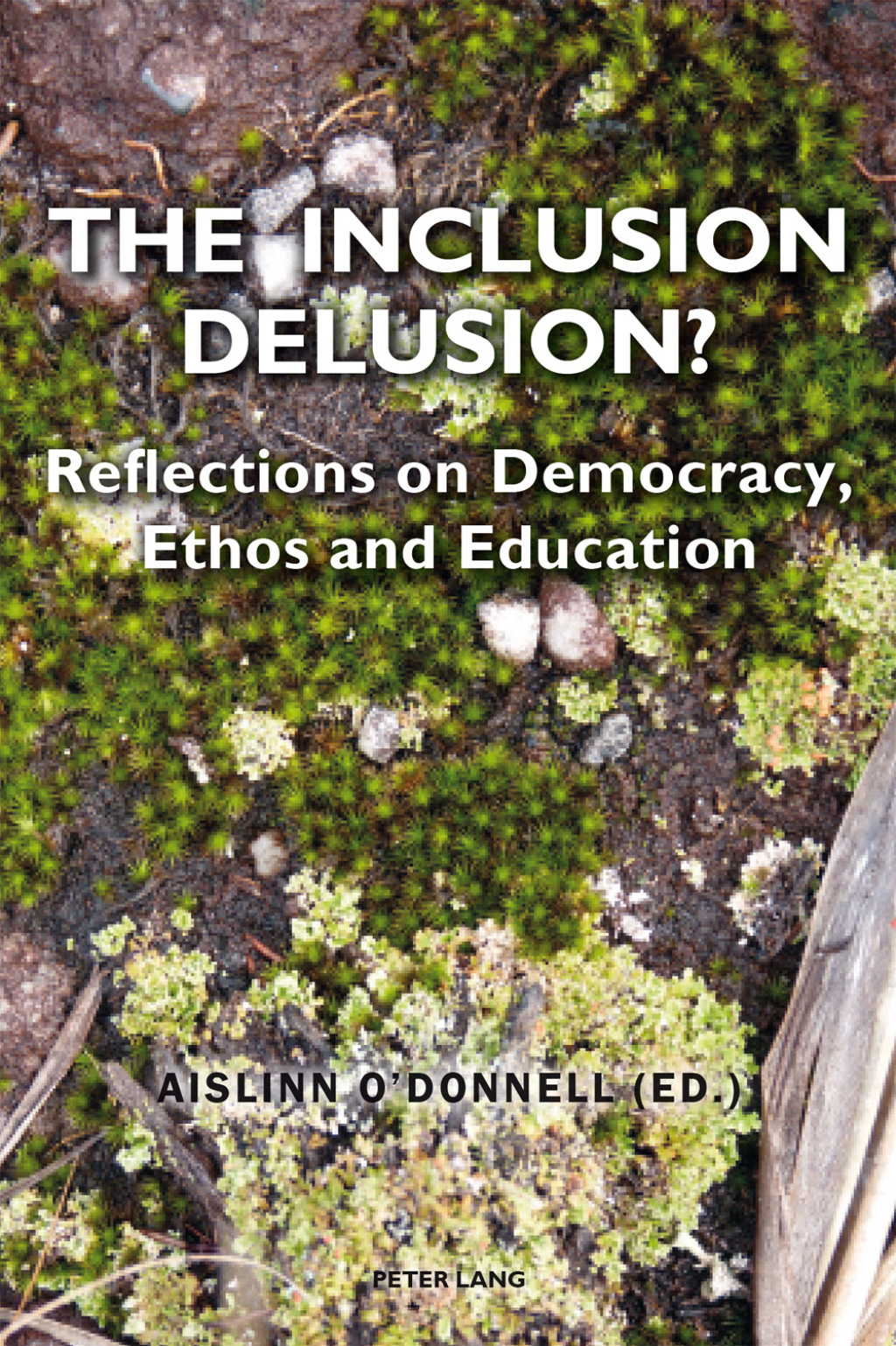 The Inclusion Delusion? Reflections on Democracy, Ethos and Education 1st Edition