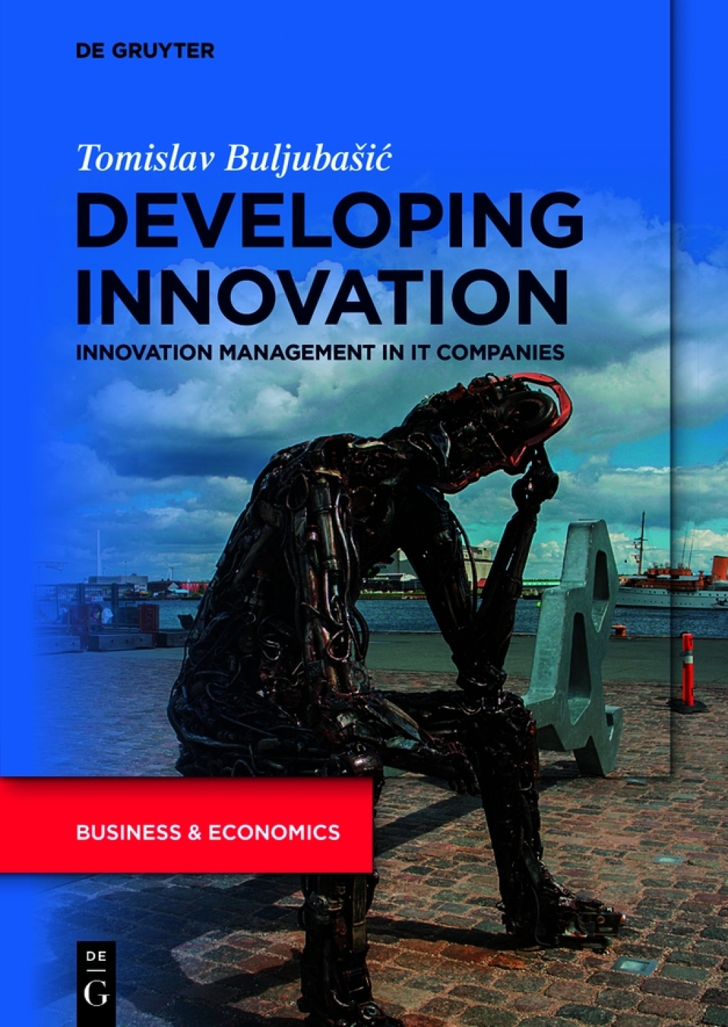 Developing Innovation Innovation Management in IT Companies 1st Edition