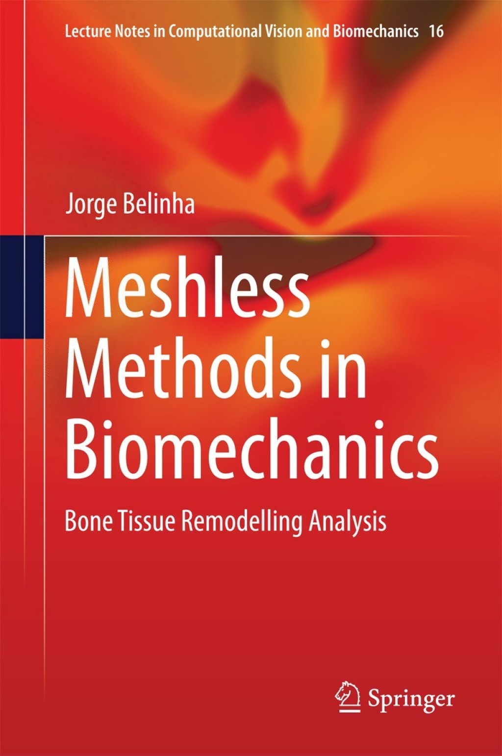 Meshless Methods in Biomechanics Bone Tissue Remodelling Analysis 