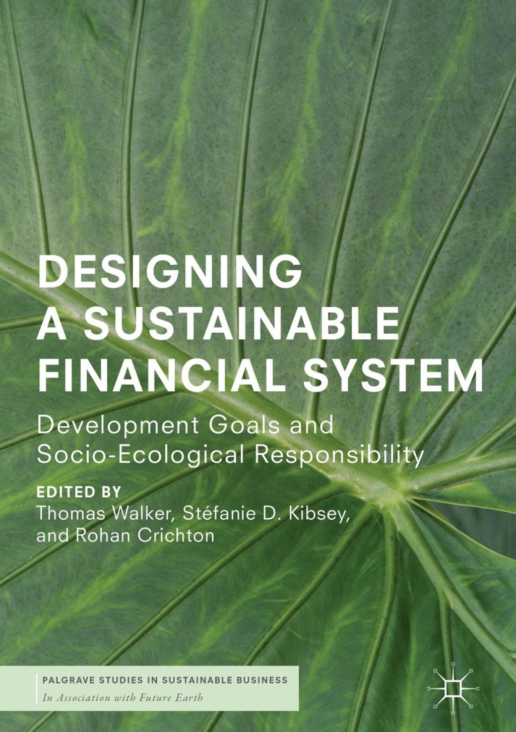 Designing a Sustainable Financial System Development Goals and Socio-Ecological Responsibility 