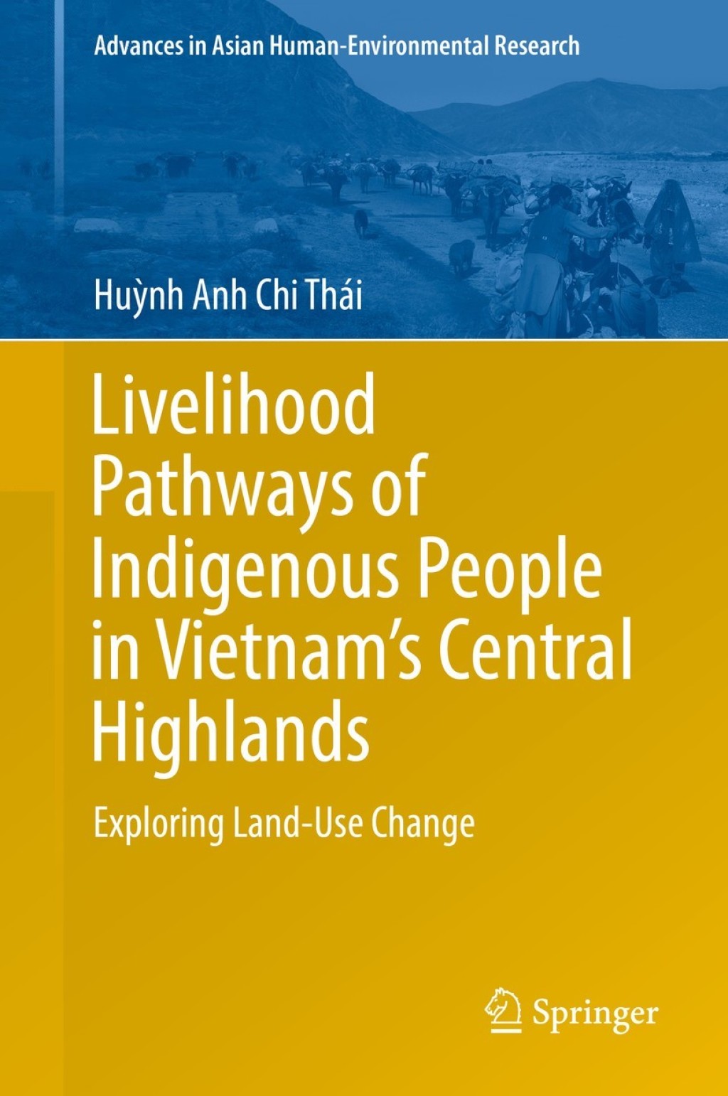 Livelihood Pathways of Indigenous People in VietnamÃ¢â‚¬Å¡Ãƒâ€žÃƒÂ¶Ã¢Ë†Å¡Ãƒâ€˜Ã¢Ë†Å¡Ã‚Â¥s Central Highlands Exploring Land-Use Change 