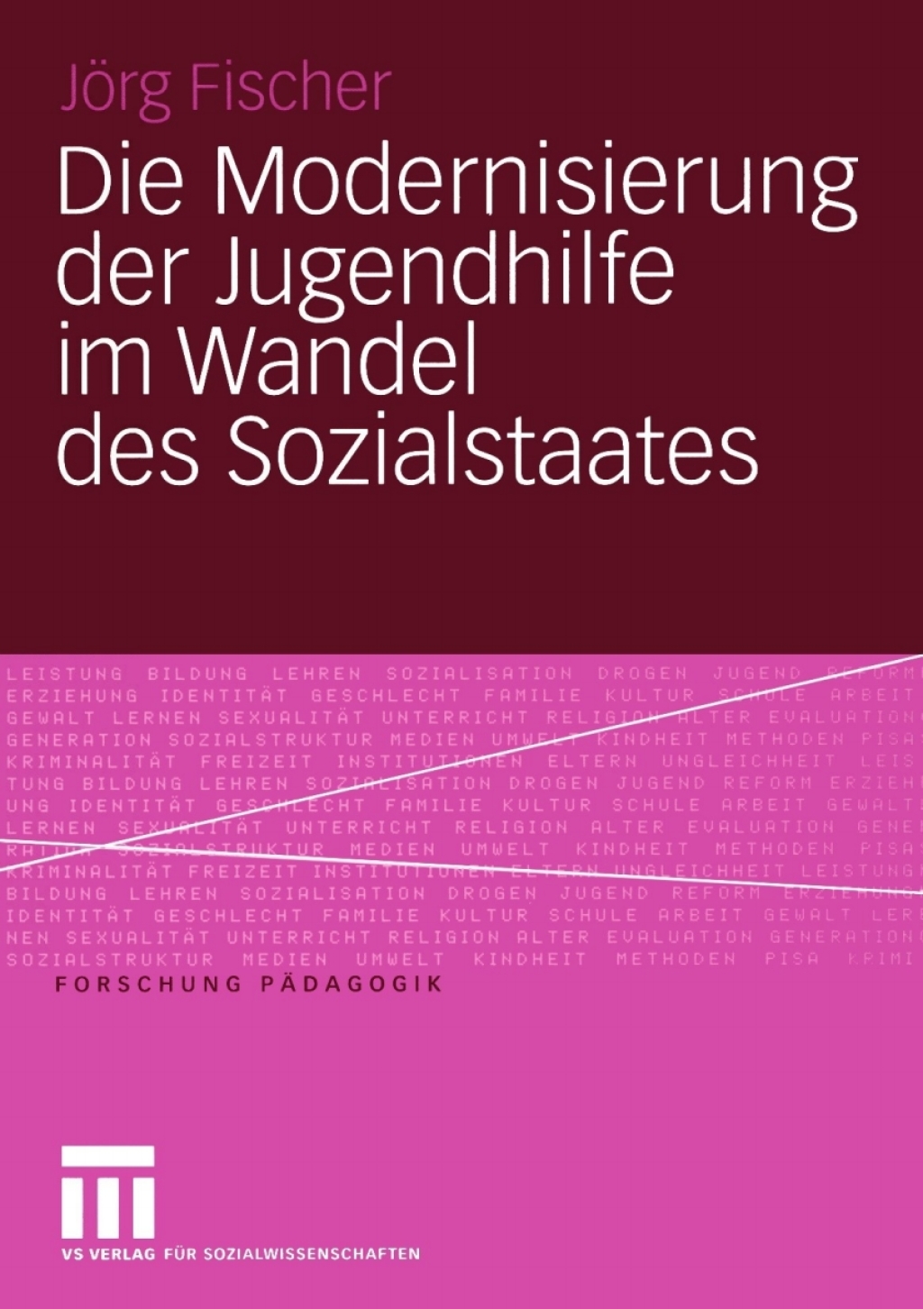 Die Modernisierung der Jugendhilfe im Wandel des Sozialstaates 