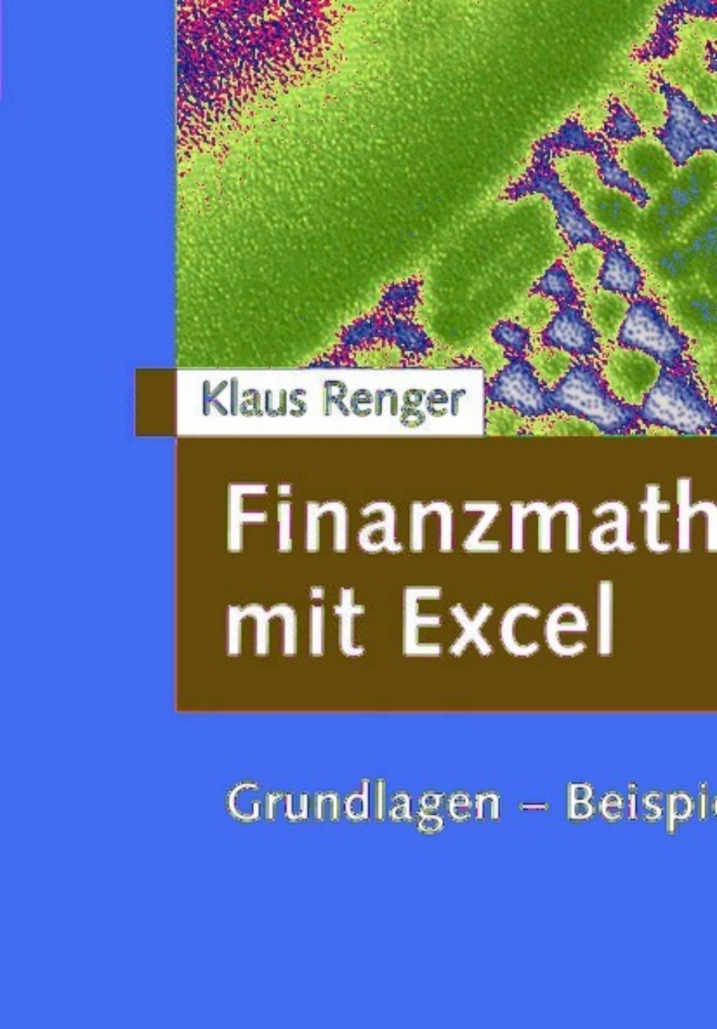Finanzmathematik mit Excel Grundlagen - Beispiele - LÃ¢â‚¬Å¡ÃƒÂ ÃƒÂ¶Ã¢â‚¬Å¡ÃƒÂ Ãƒâ€¡sungen 