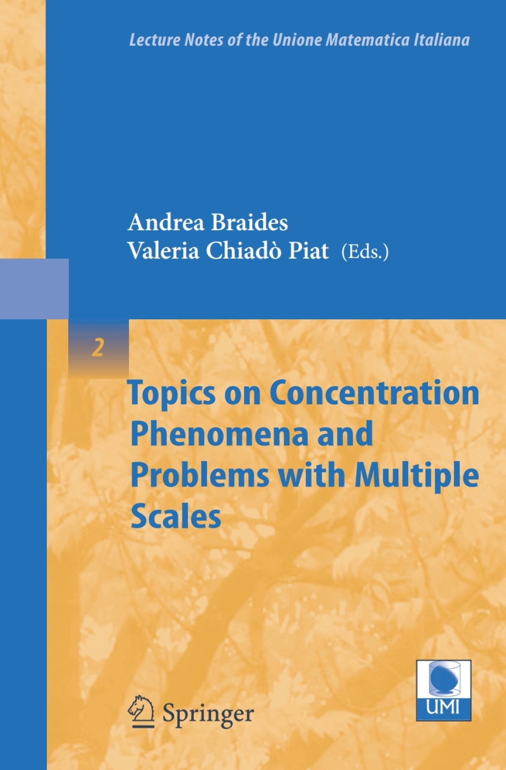 Topics on Concentration Phenomena and Problems with Multiple Scales 1st Edition