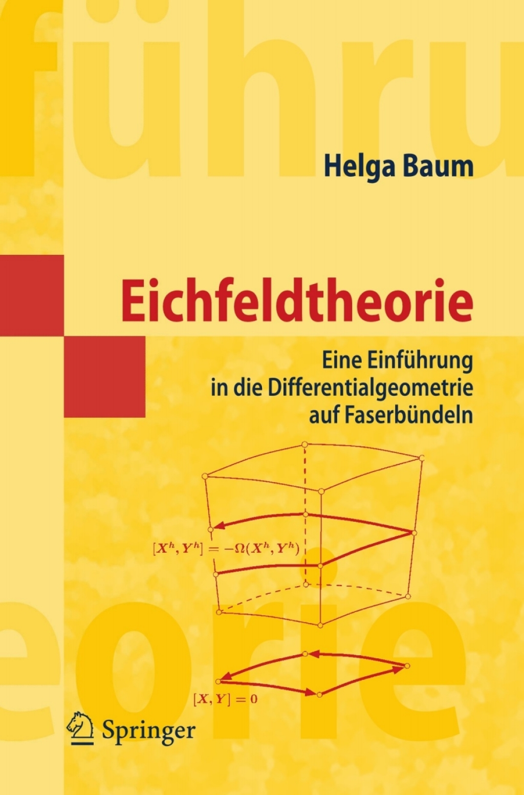 Eichfeldtheorie Eine EinfÃ¢â‚¬Å¡ÃƒÂ ÃƒÂ¶Ã‚Â¬Ã¢Ë†Â«hrung in die Differentialgeometrie auf FaserbÃ¢â‚¬Å¡ÃƒÂ ÃƒÂ¶Ã‚Â¬Ã¢Ë†Â«ndeln 