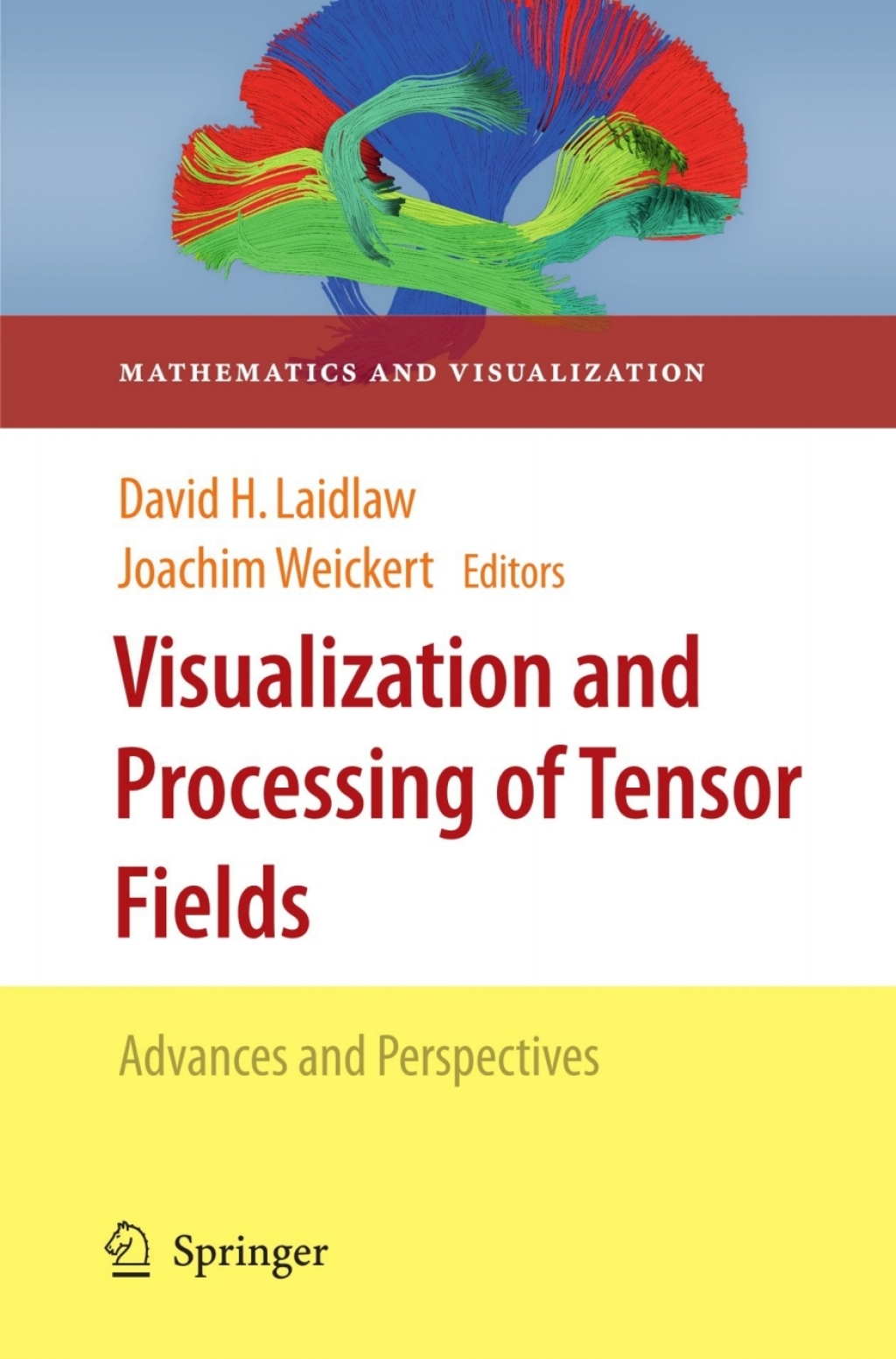 Visualization and Processing of Tensor Fields Advances and Perspectives 1st Edition