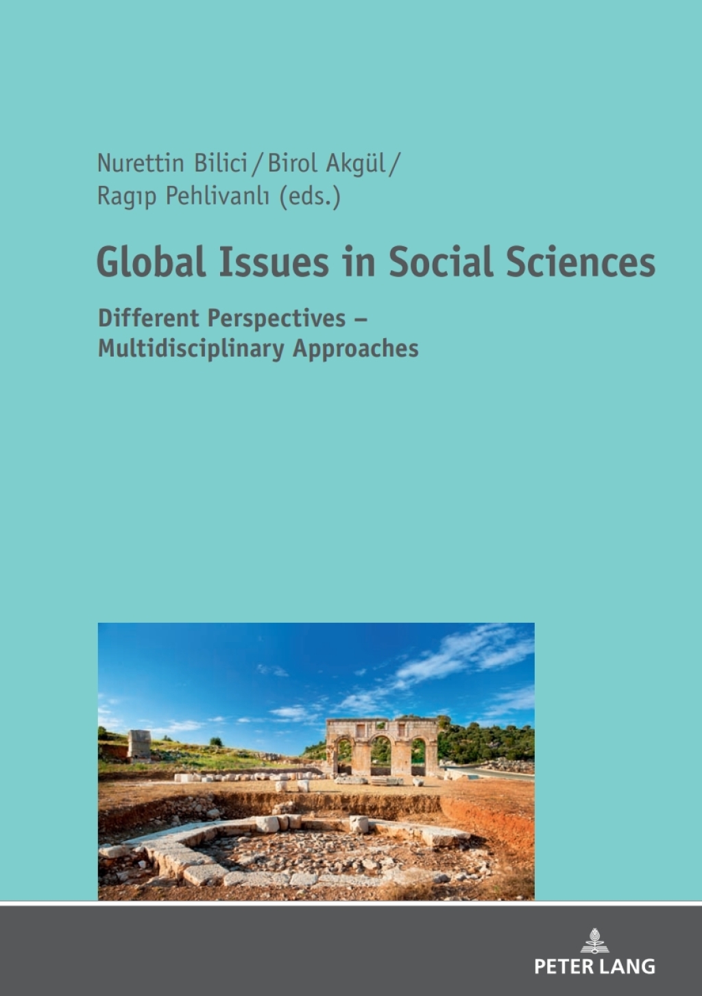 Global Issues in Social Sciences Different Perspectives Ã¢â‚¬Å¡Ãƒâ€žÃƒÂ¶Ã¢Ë†Å¡Ãƒâ€˜Ã¢Ë†Å¡Ã‚Â¨ Multidisciplinary Approaches 1st Edition
