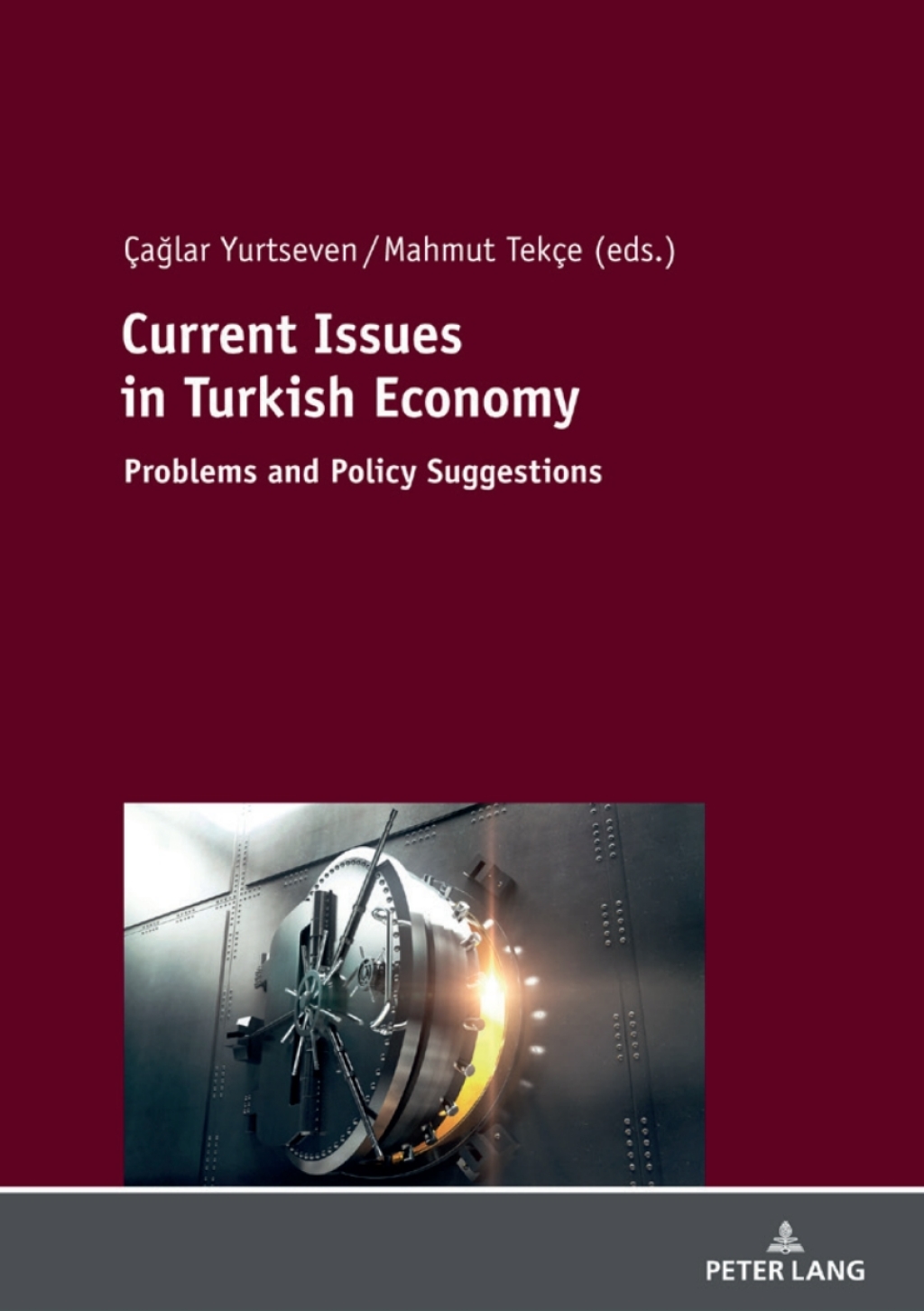 Current Issues in Turkish Economics Problems and Policy Suggestions 1st Edition