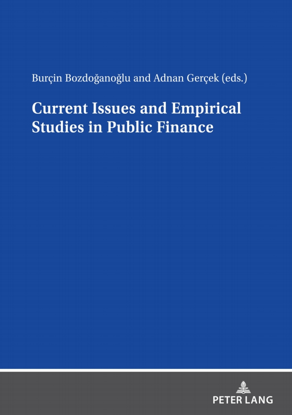 Current Issues and Empirical Studies in Public Finance 1st Edition