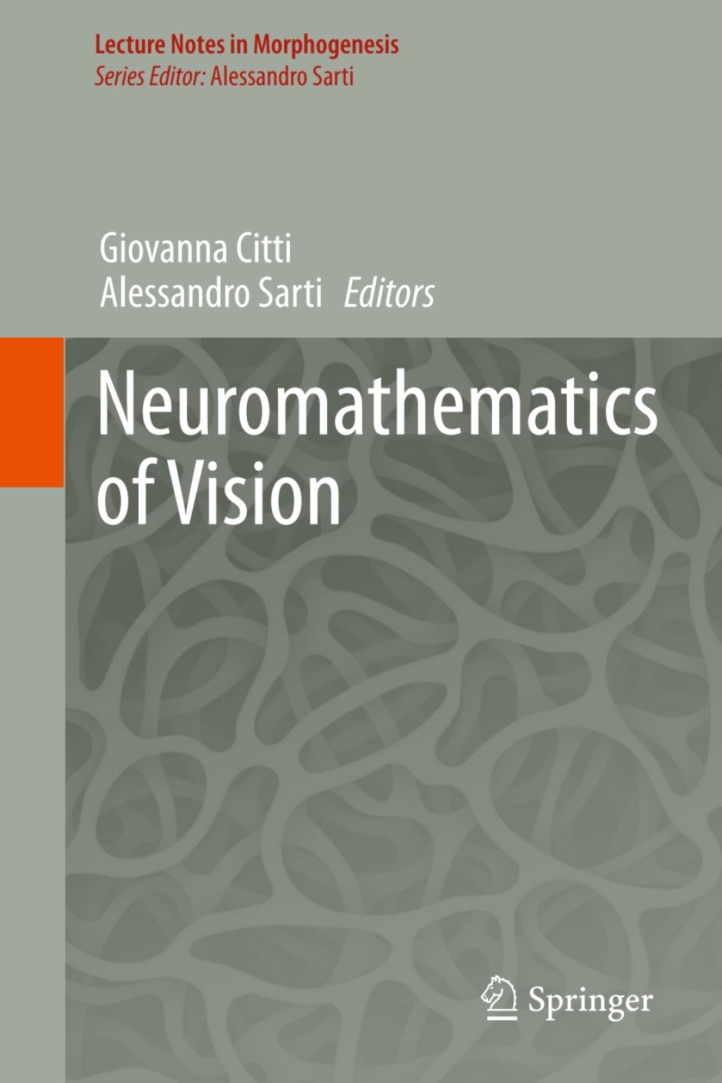 Neuromathematics of Vision Neuromathematics of Vision - Image 1