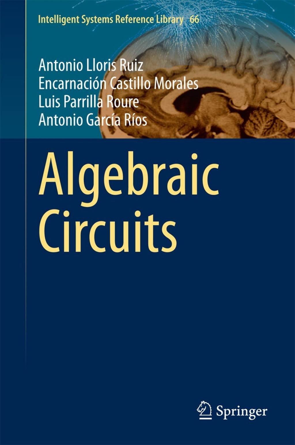 Algebraic Circuits 