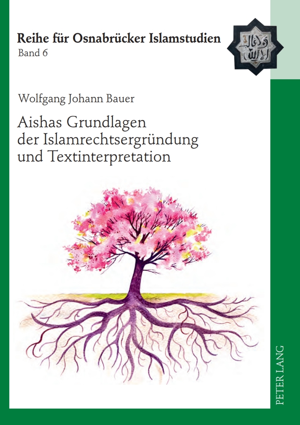 Aishas Grundlagen der Islamrechtsergruendung und Textinterpretation Vergleichende Untersuchungen 1st Edition