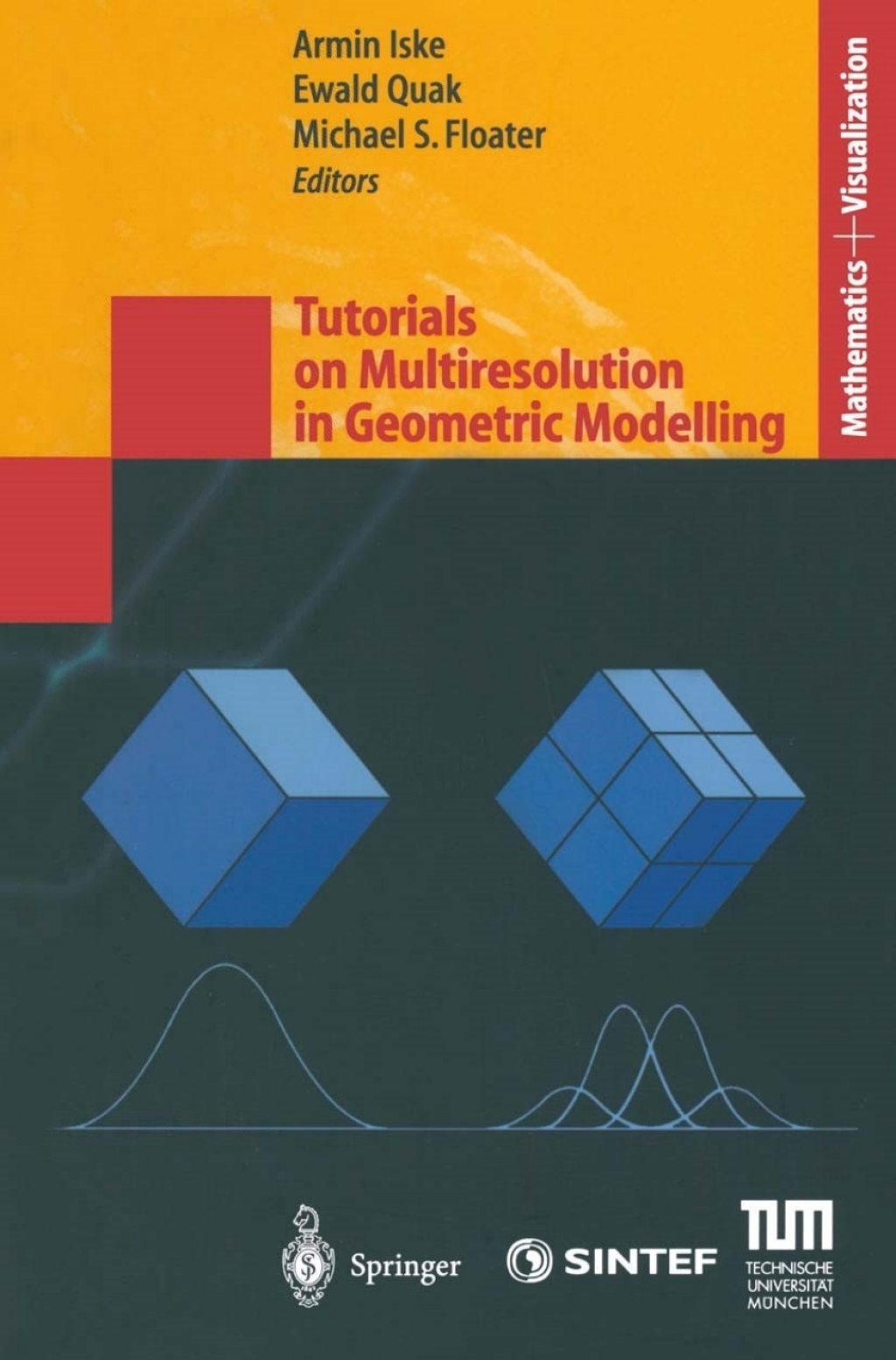 Tutorials on Multiresolution in Geometric Modelling Summer School Lecture Notes 1st Edition