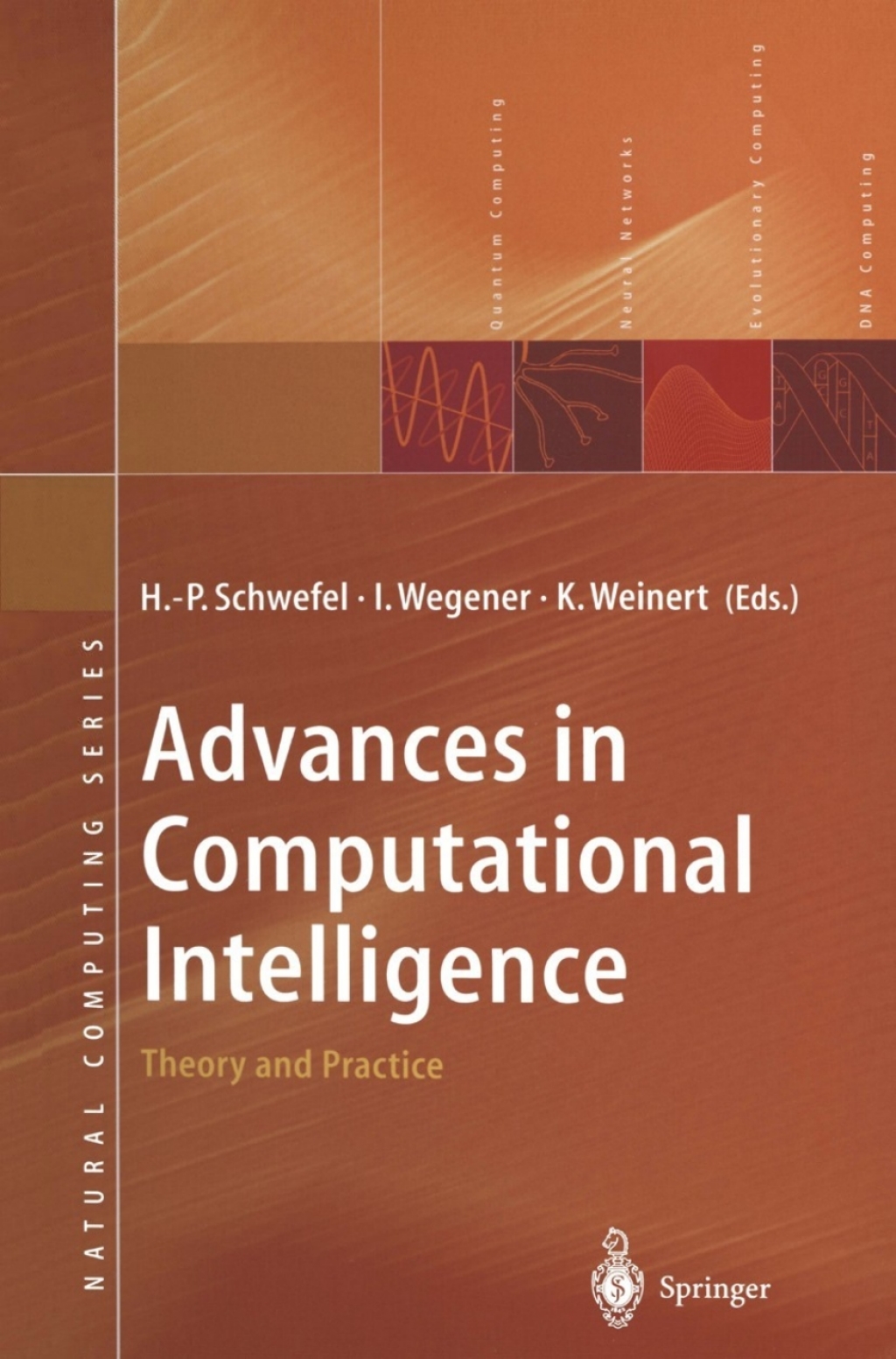 Advances in Computational Intelligence Theory and Practice 1st Edition