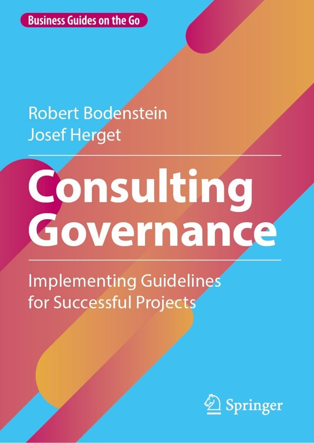 Consulting Governance Implementing Guidelines for Successful Projects 