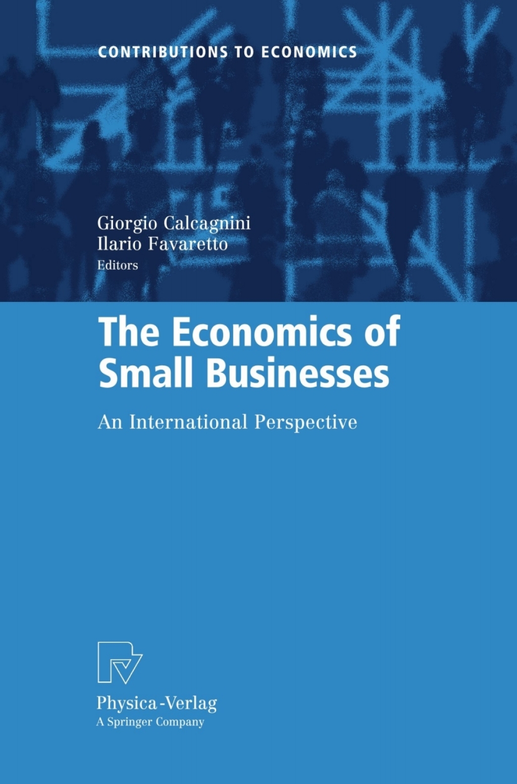 The Economics of Small Businesses An International Perspective 