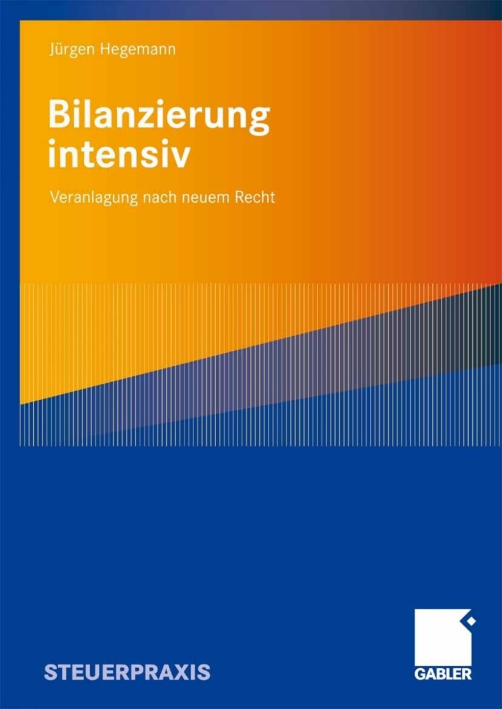 Bilanzierung intensiv Veranlagung nach neuem Recht 