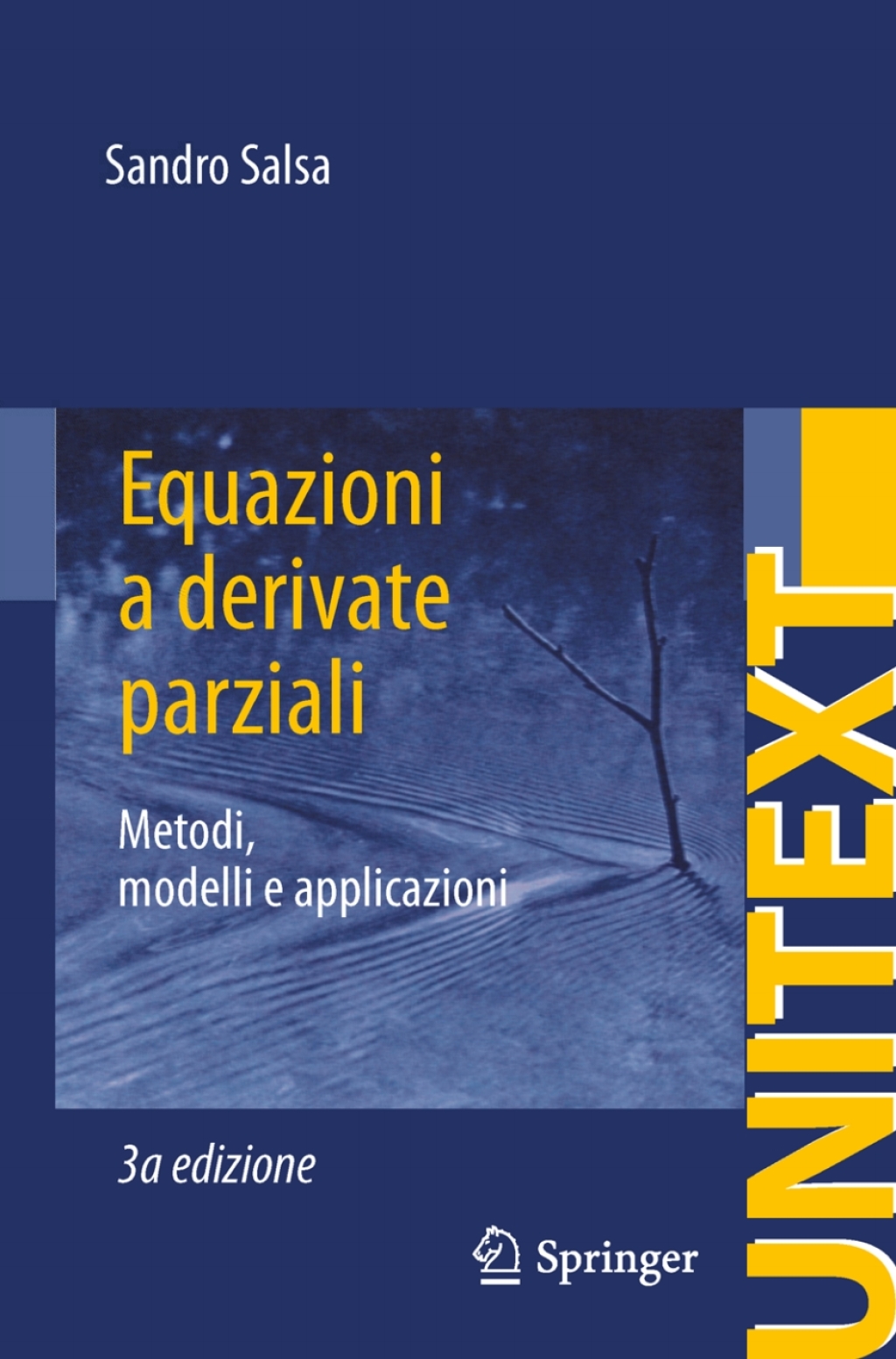 Equazioni a derivate parziali Metodi, modelli e applicazioni 3rd Edition