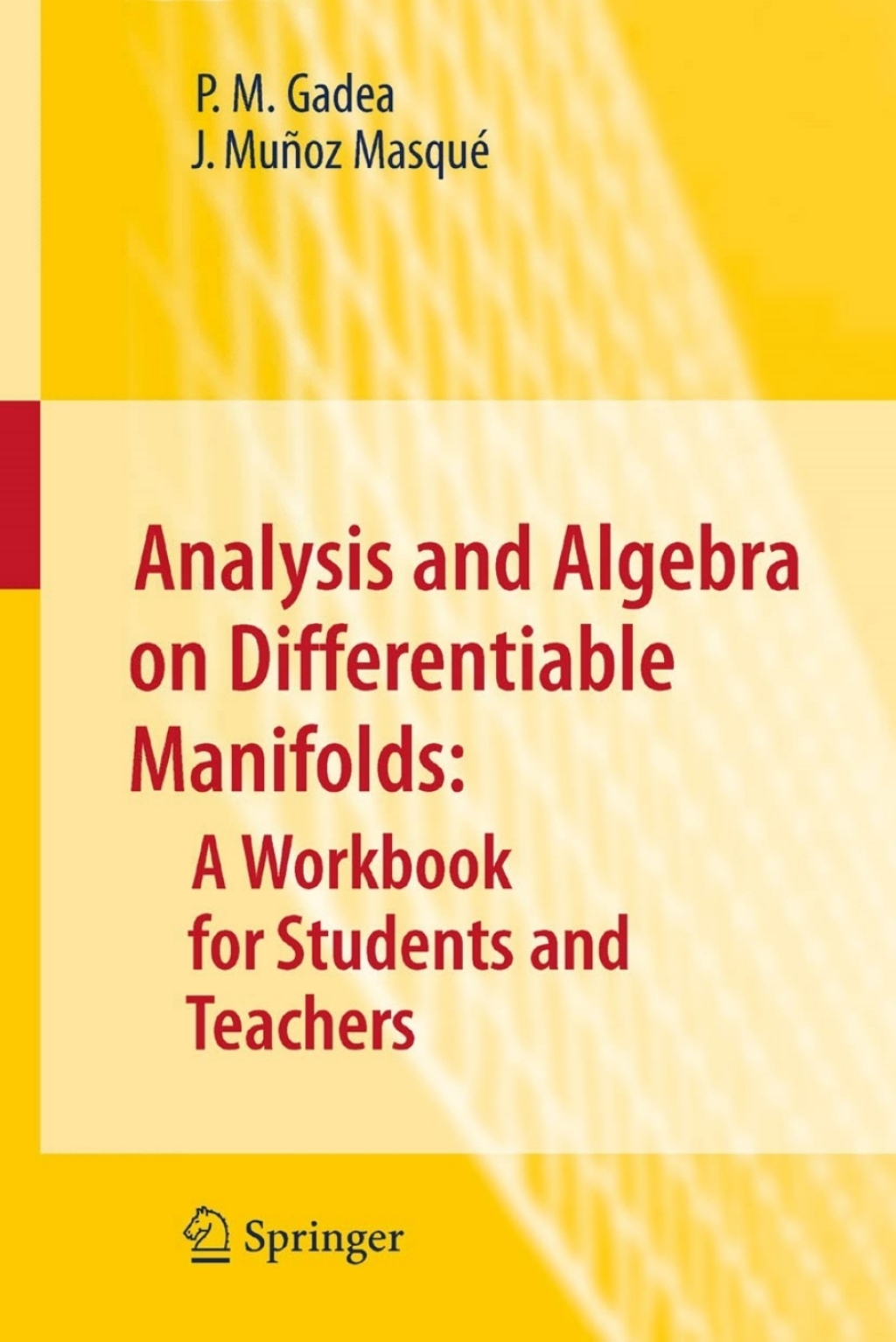 Analysis and Algebra on Differentiable Manifolds: A Workbook for Students and Teachers 