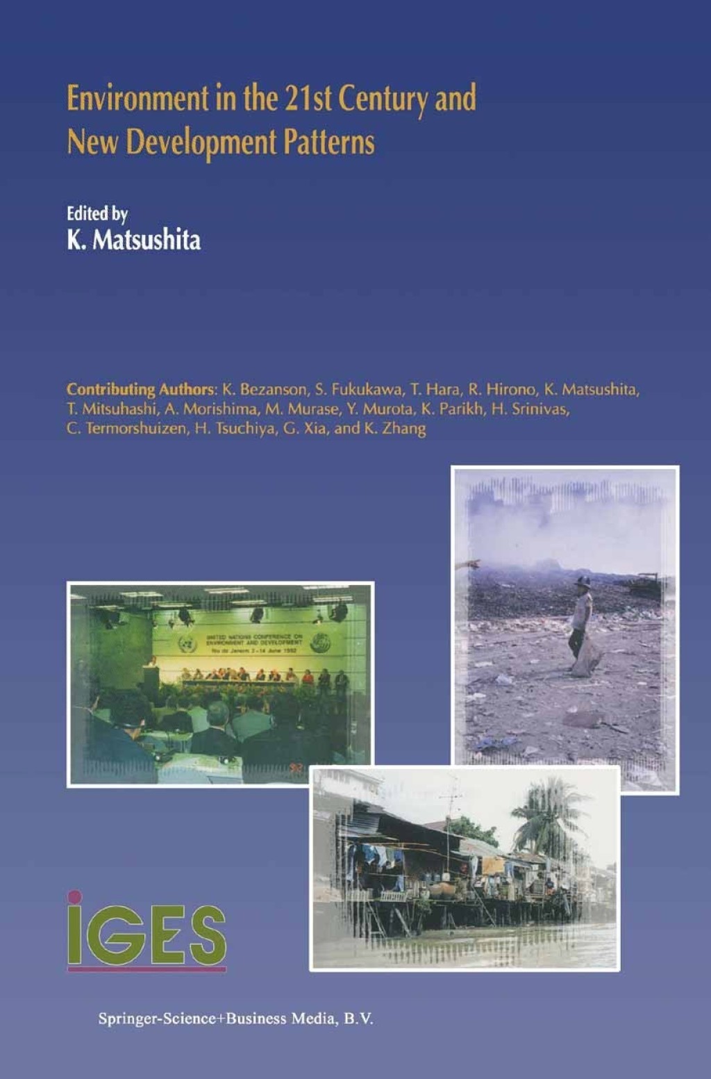 Environment in the 21st Century and New Development Patterns 1st Edition