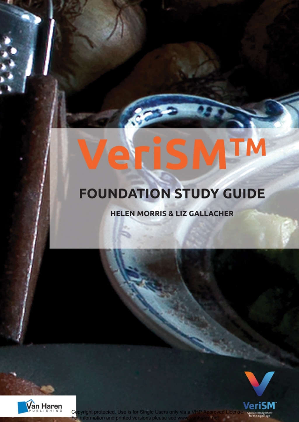 VeriSMÃ¢â‚¬Å¡Ãƒâ€žÃƒÂ¶Ã¢Ë†Å¡ÃƒÂ«Ã‚Â¬Ã‚Â¢ - Foundation Study Guide 1st Edition