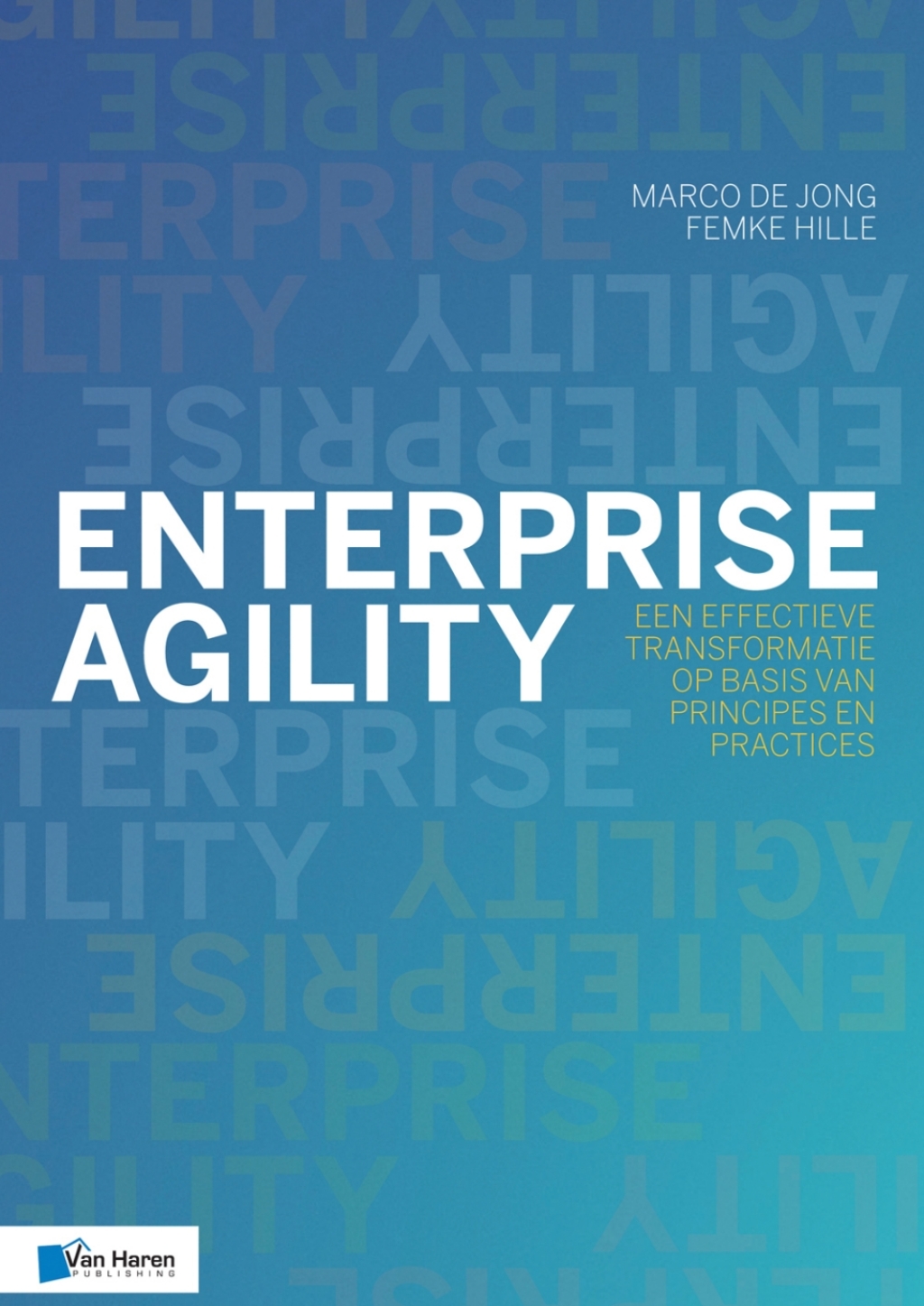 Enterprise Agility Een effectieve transformatie op basis van principes en practices 1st Edition