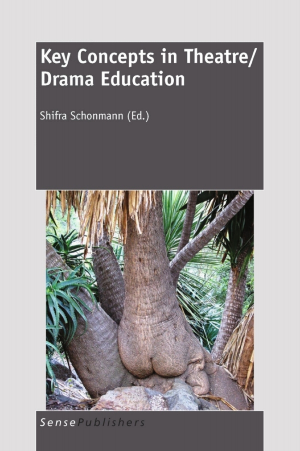 Key Concepts in Theatre/Drama Education 1st Edition