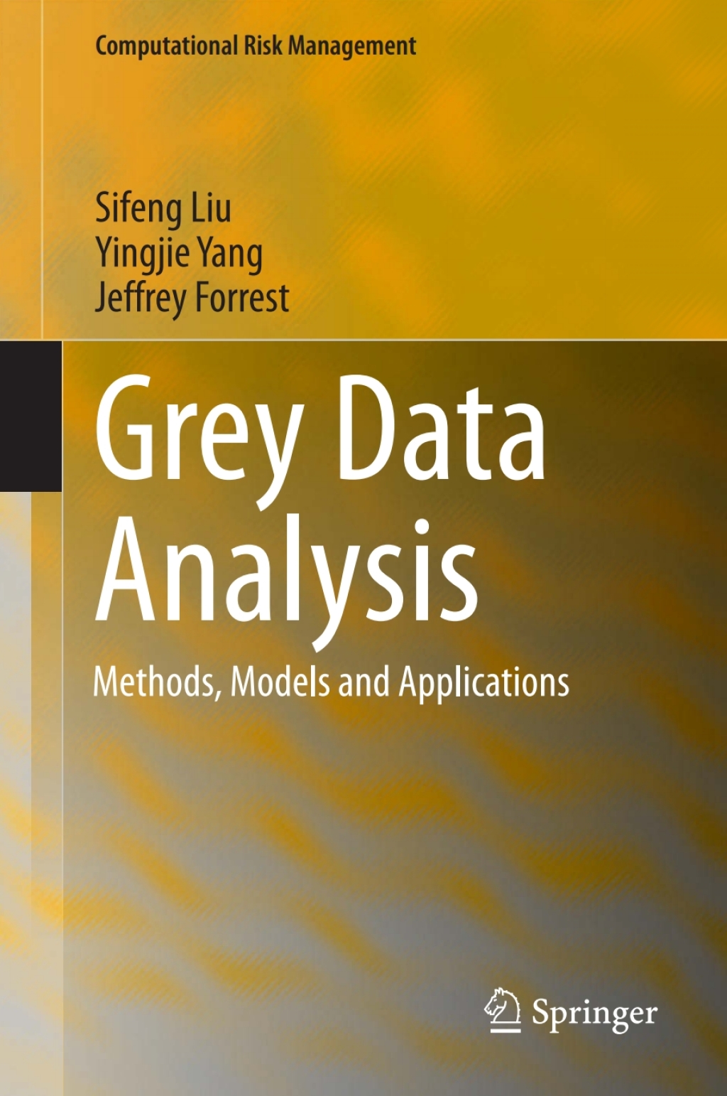 Grey Data Analysis Methods, Models and Applications 