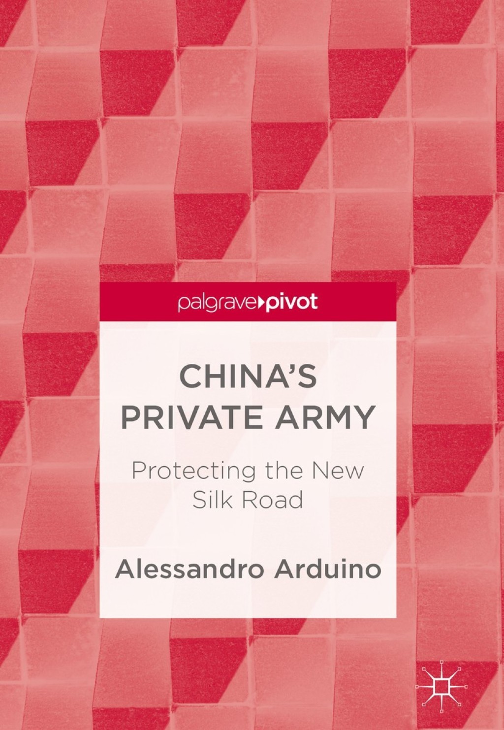China's Private Army Protecting the New Silk Road 