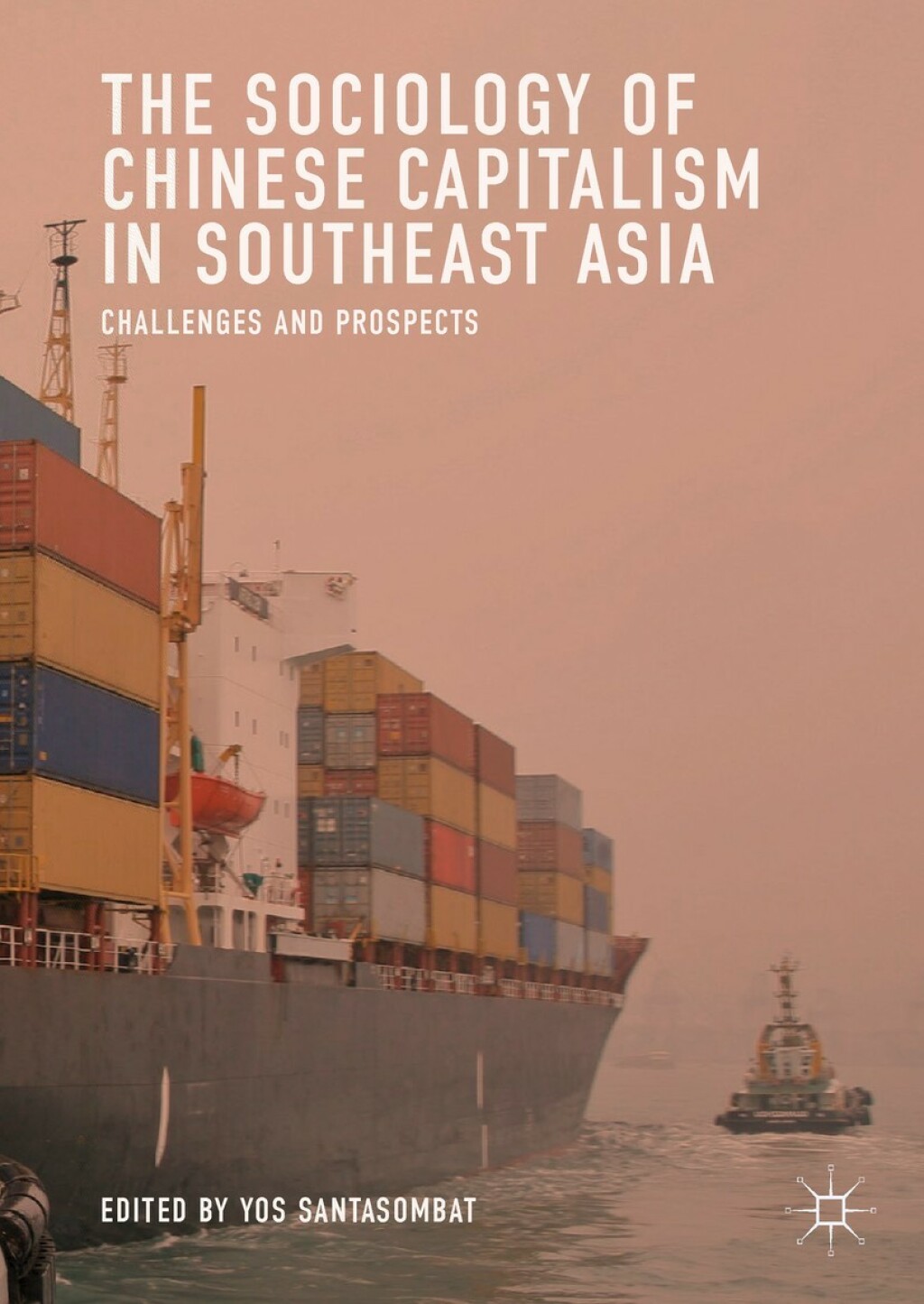 The Sociology of Chinese Capitalism in Southeast Asia Challenges and Prospects 