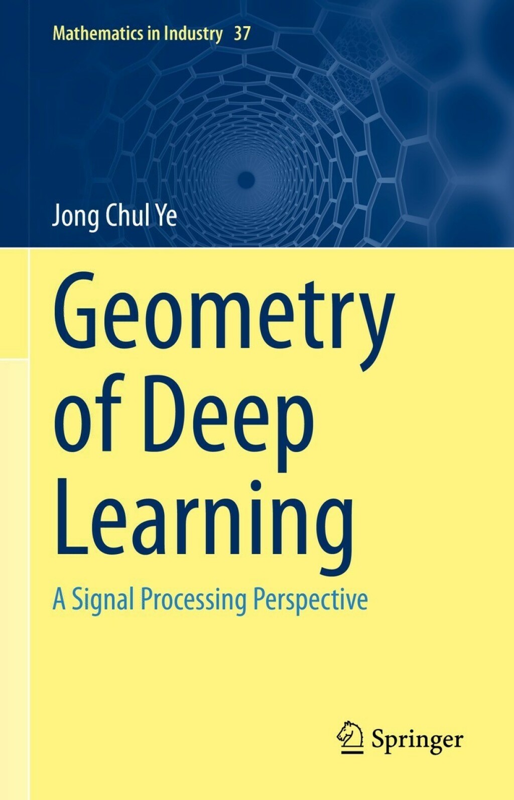 Geometry of Deep Learning A Signal Processing Perspective 