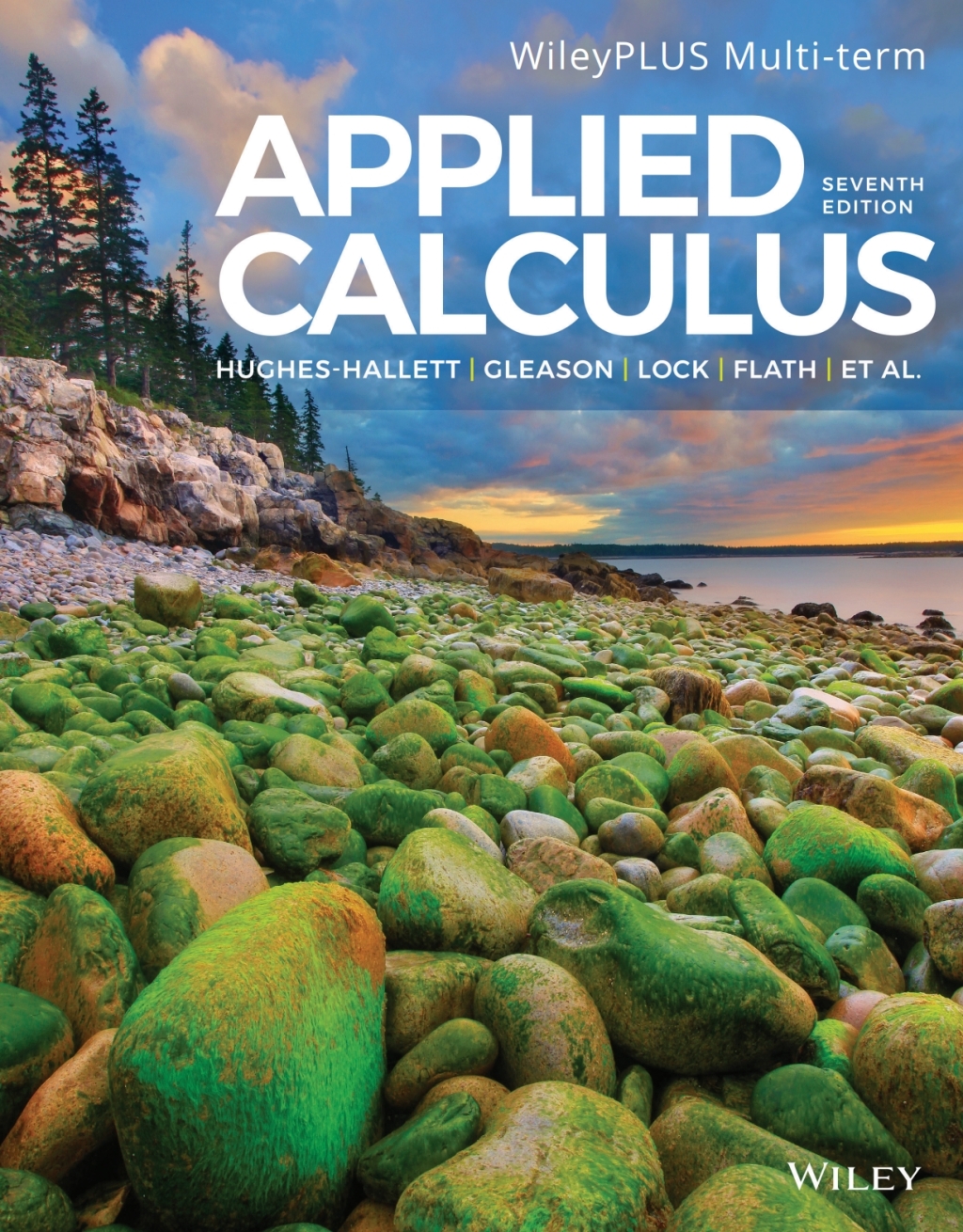 Applied Calculus, WileyPLUS Multi-term 7th Edition