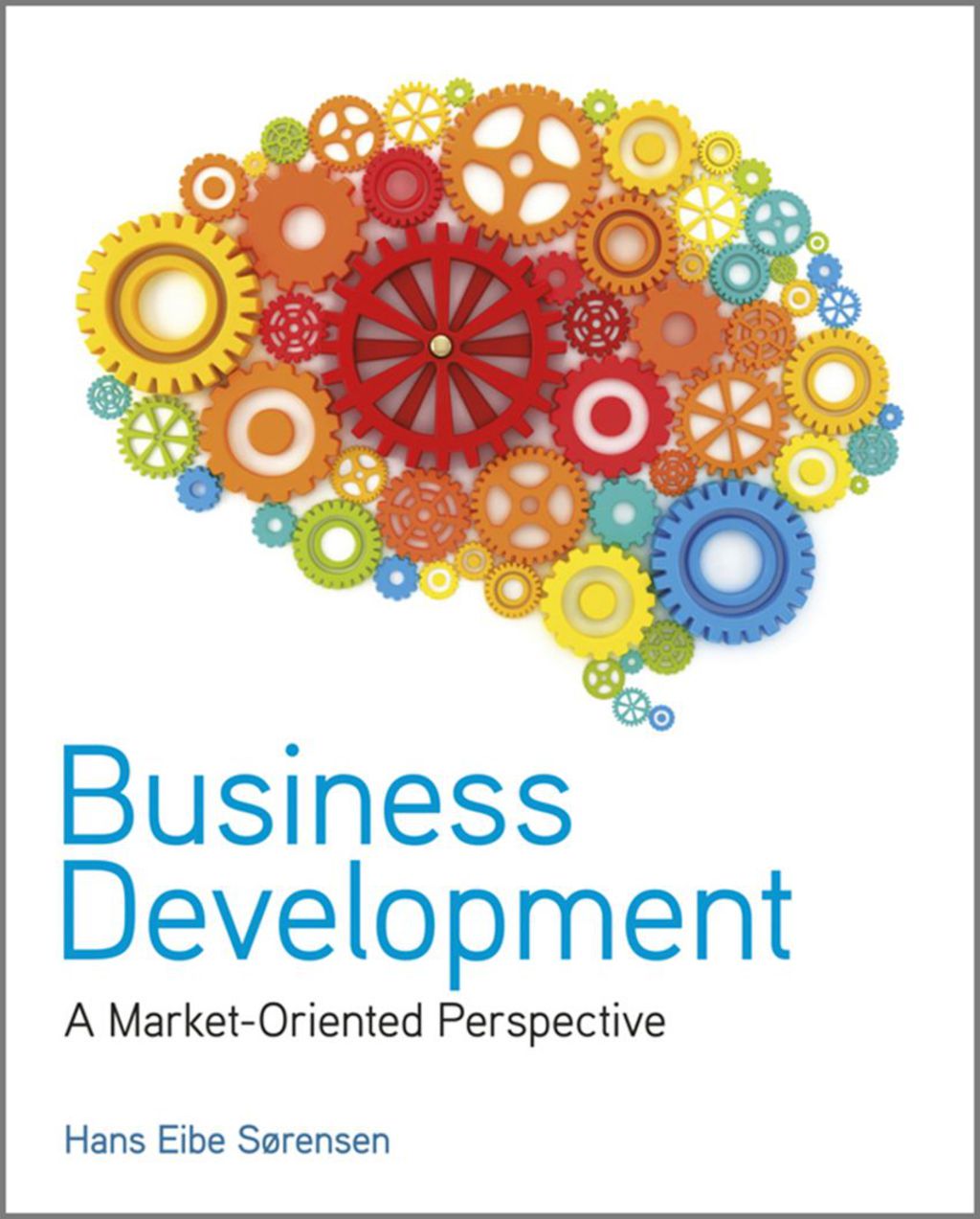 Business Development: A Market-Oriented Perspective 1st Edition