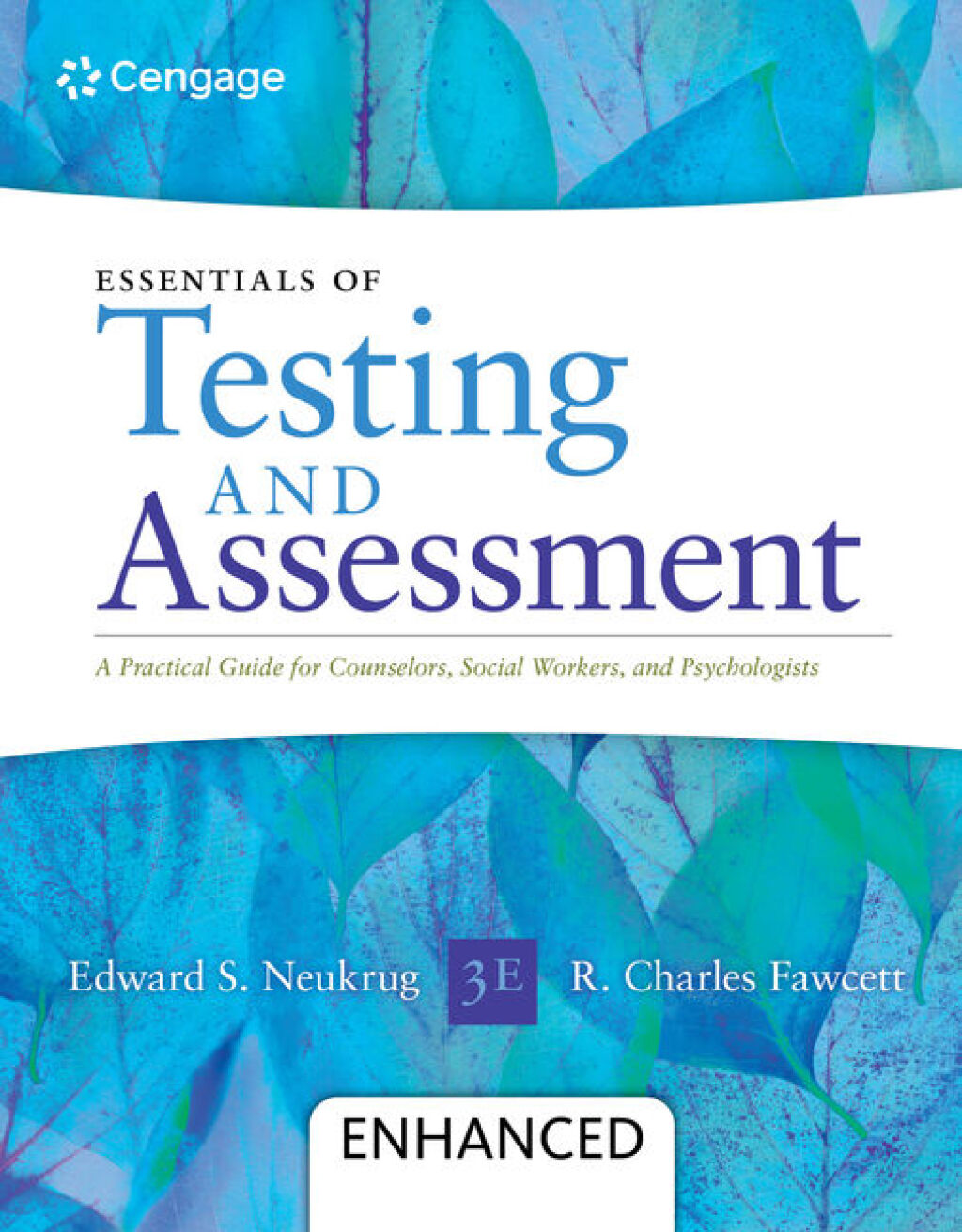 Essentials of Testing and Assessment: A Practical Guide for Counselors, Social Workers, and Psychologists, Enhanced 3rd Edition